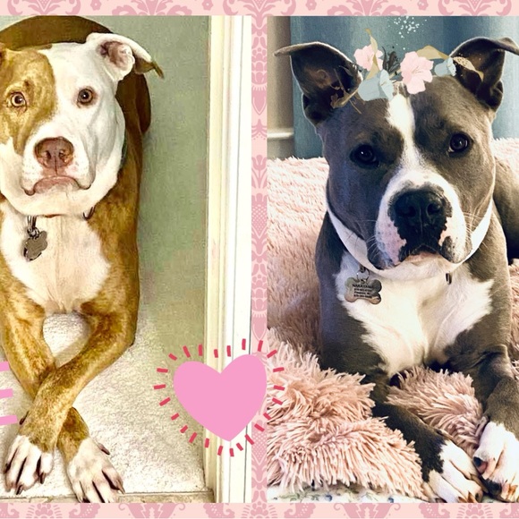 Meet your Posher, CathyBunny - Picture 15 of 16